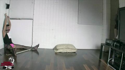 23071