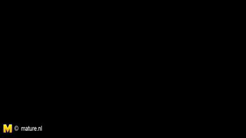 26511