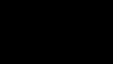29010